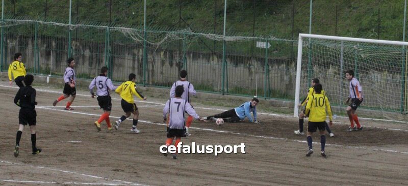 120310 stefanese 076y_tn.jpg